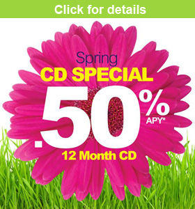 CD spring special