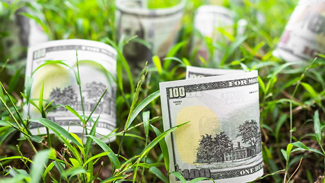 Grow Your Business